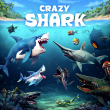 Crazy Shark image