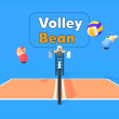 Volley Bean image