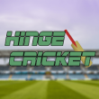 Hinge Cricket image